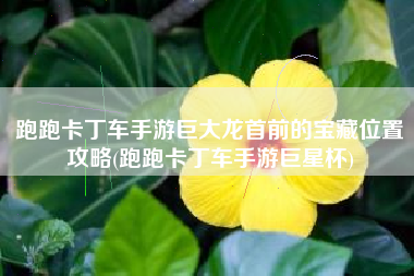 跑跑卡丁车手游巨大龙首前的宝藏位置攻略(跑跑卡丁车手游巨星杯)