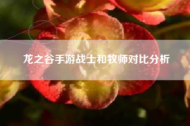 龙之谷手游战士和牧师对比分析