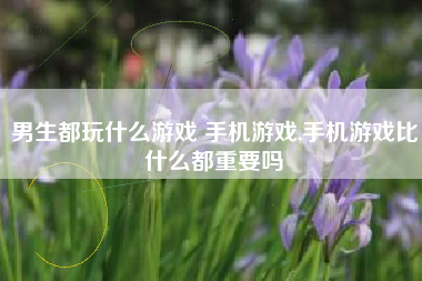 男生都玩什么游戏 手机游戏,手机游戏比什么都重要吗