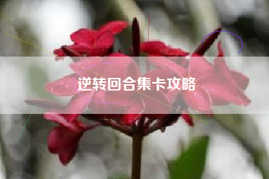逆转回合集卡攻略