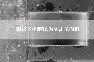 拍裙子小游戏,为卖裙子而拍