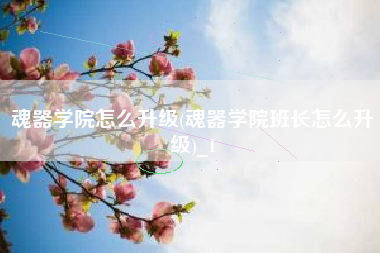魂器学院怎么升级(魂器学院班长怎么升级)_1