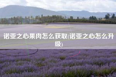 诺亚之心果肉怎么获取(诺亚之心怎么升级)