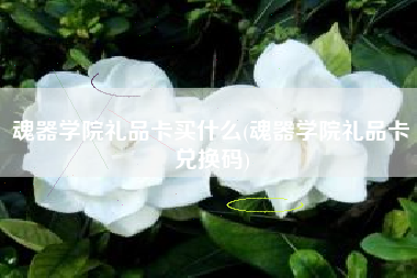 魂器学院礼品卡买什么(魂器学院礼品卡兑换码)