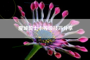 魔城骑士卡等级技巧分享