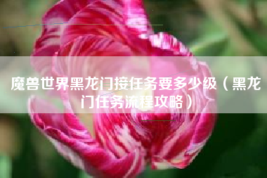 魔兽世界黑龙门接任务要多少级（黑龙门任务流程攻略）