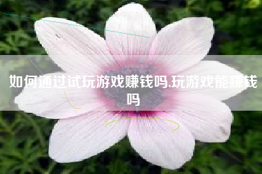 如何通过试玩游戏赚钱吗,玩游戏能赚钱吗