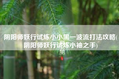阴阳师妖行试炼小小黑一波流打法攻略(阴阳师妖行试炼小袖之手)