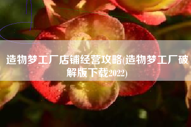 造物梦工厂店铺经营攻略(造物梦工厂破解版下载2022)