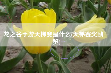 龙之谷手游天梯赛是什么(天梯赛奖励一览)