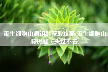 重生细胞山洞钥匙获取攻略(重生细胞山洞钥匙飞头过不去)