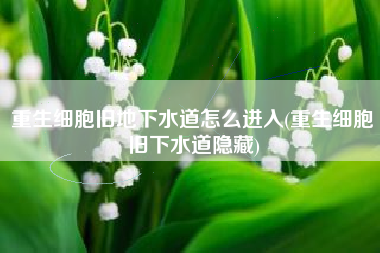 重生细胞旧地下水道怎么进入(重生细胞旧下水道隐藏)
