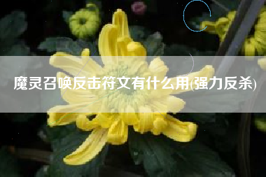 魔灵召唤反击符文有什么用(强力反杀)
