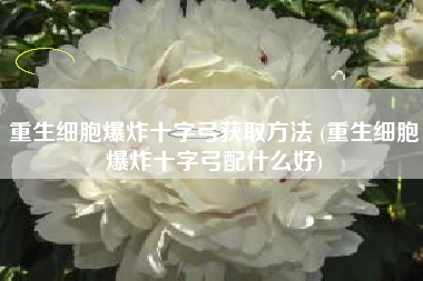 重生细胞爆炸十字弓获取方法 (重生细胞爆炸十字弓配什么好)