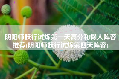 阴阳师妖行试炼第一天高分和懒人阵容推荐(阴阳师妖行试炼第四天阵容)