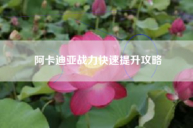 阿卡迪亚战力快速提升攻略