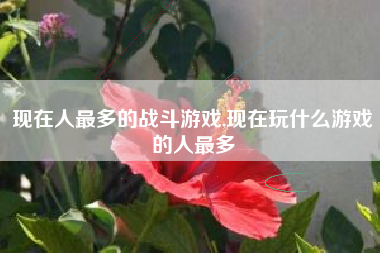 现在人最多的战斗游戏,现在玩什么游戏的人最多