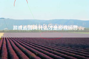 游戏运营词,什么才是游戏运营