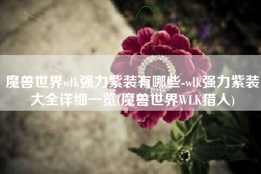 魔兽世界wlk强力紫装有哪些-wlk强力紫装大全详细一览(魔兽世界WLK猎人)