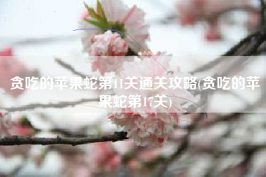 贪吃的苹果蛇第11关通关攻略(贪吃的苹果蛇第17关)