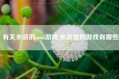 有关水浒的mod游戏,水浒类的游戏有哪些