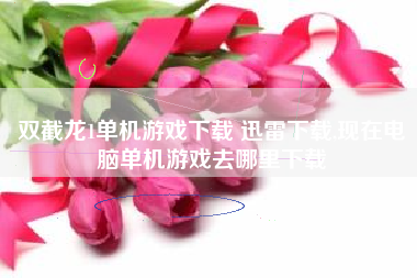 双截龙1单机游戏下载 迅雷下载,现在电脑单机游戏去哪里下载