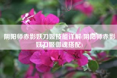 阴阳师赤影妖刀姬技能详解(阴阳师赤影妖刀姬御魂搭配)