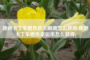 跑跑卡丁车橙色防尘眼镜怎么获得(跑跑卡丁车橙色幸运币怎么获得)