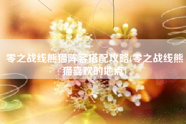 零之战线熊猫阵容搭配攻略(零之战线熊猫喜欢的地点)