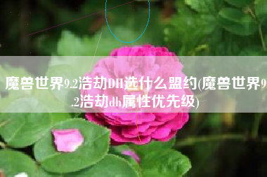 魔兽世界9.2浩劫DH选什么盟约(魔兽世界9.2浩劫dh属性优先级)