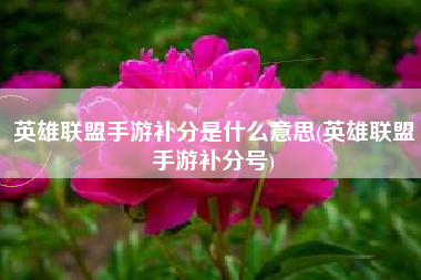 英雄联盟手游补分是什么意思(英雄联盟手游补分号)