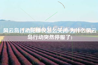 风云岛行动陀螺仪怎么关闭(为什么风云岛行动突然停服了)
