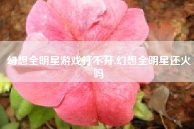 幻想全明星游戏打不开,幻想全明星还火吗