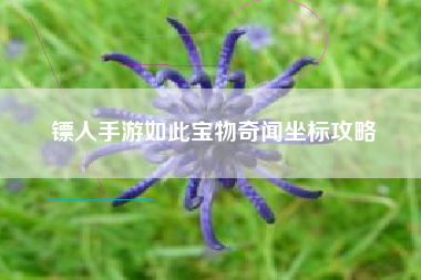 镖人手游如此宝物奇闻坐标攻略