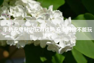 手机充电时边玩游戏吗,充电时能不能玩手机