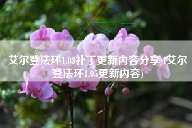 艾尔登法环1.03补丁更新内容分享 (艾尔登法环1.05更新内容)