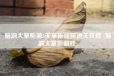 脑洞大掌柜第5关掌柜侦探通关攻略 (脑洞大掌柜游戏)