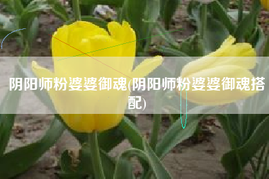 阴阳师粉婆婆御魂(阴阳师粉婆婆御魂搭配)