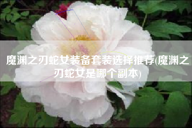 魔渊之刃蛇女装备套装选择推荐(魔渊之刃蛇女是哪个副本)
