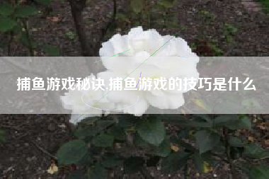 捕鱼游戏秘诀,捕鱼游戏的技巧是什么