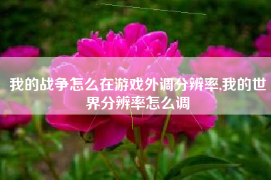 我的战争怎么在游戏外调分辨率,我的世界分辨率怎么调