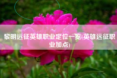 黎明远征英雄职业定位一览(英雄远征职业加点)