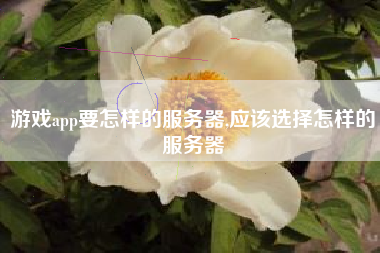游戏app要怎样的服务器,应该选择怎样的服务器