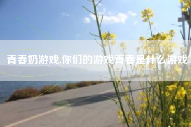青春奶游戏,你们的游戏青春是什么游戏