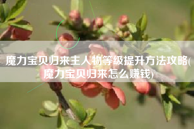 魔力宝贝归来主人物等级提升方法攻略(魔力宝贝归来怎么赚钱)