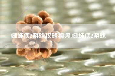 蜘蛛侠2游戏攻略视频,蜘蛛侠2游戏