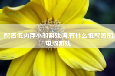 配置低内存小的游戏吗,有什么低配置的电脑游戏