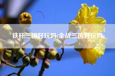 铁杆三国好玩吗(全战三国好玩吗)