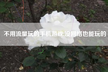 不用流量玩的手机游戏,没网络也能玩的