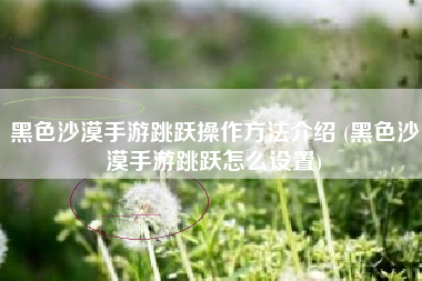 黑色沙漠手游跳跃操作方法介绍 (黑色沙漠手游跳跃怎么设置)